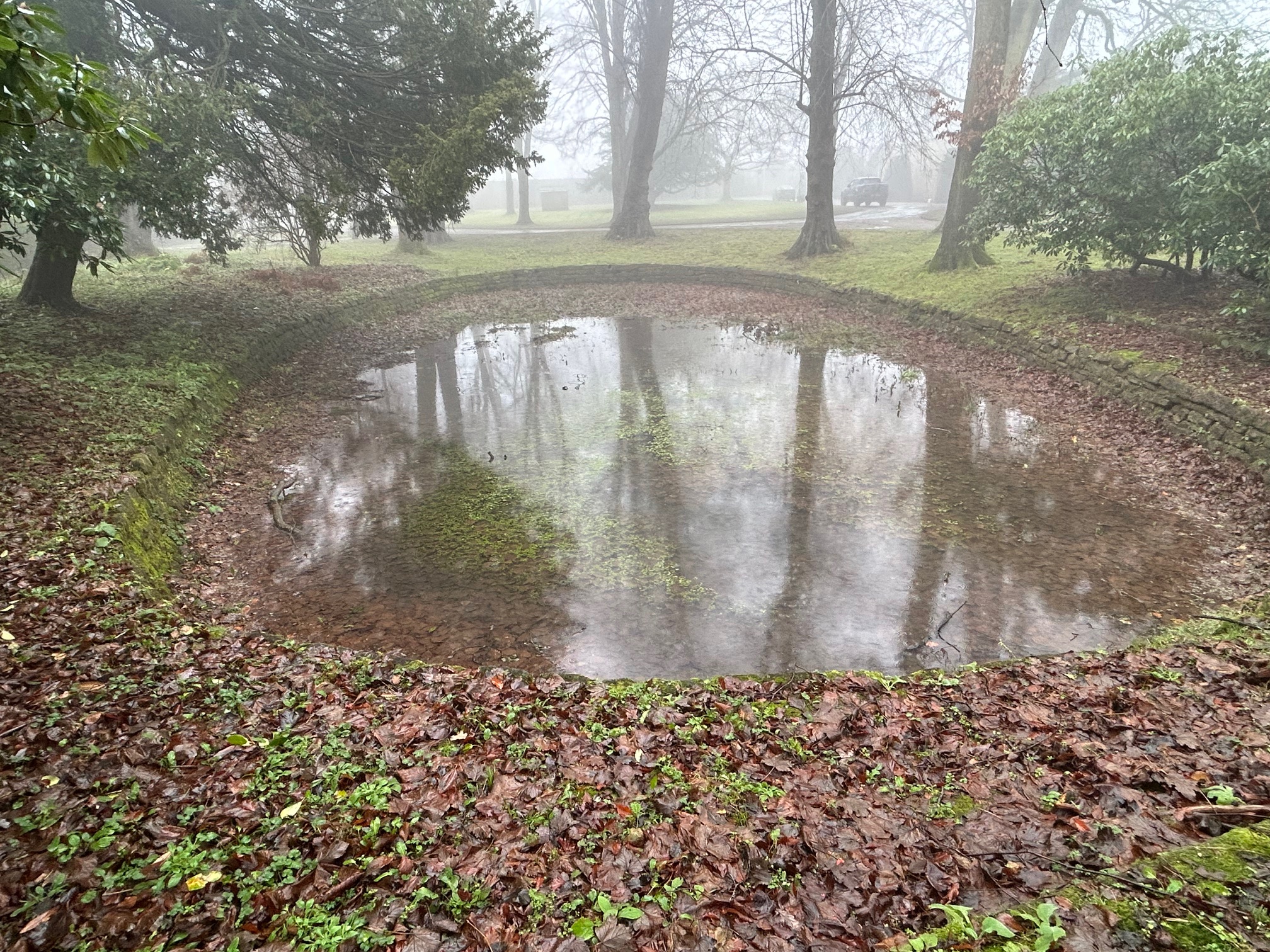 Sawley Hall – Ice Pond – Pinnacle Conservation Limited